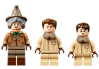 LEGO Harry Potter Zweinstein Moment: Herbologieles - 76384