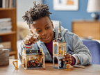 LEGO Harry Potter Zweinstein: Pluizige ontmoeting - 76387