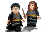 LEGO Harry Potter Harry Potter & Hermelien Griffel - 76393
