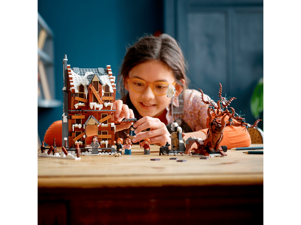 LEGO Harry Potter Het Krijsende Krot & De Beukwilg - 76407