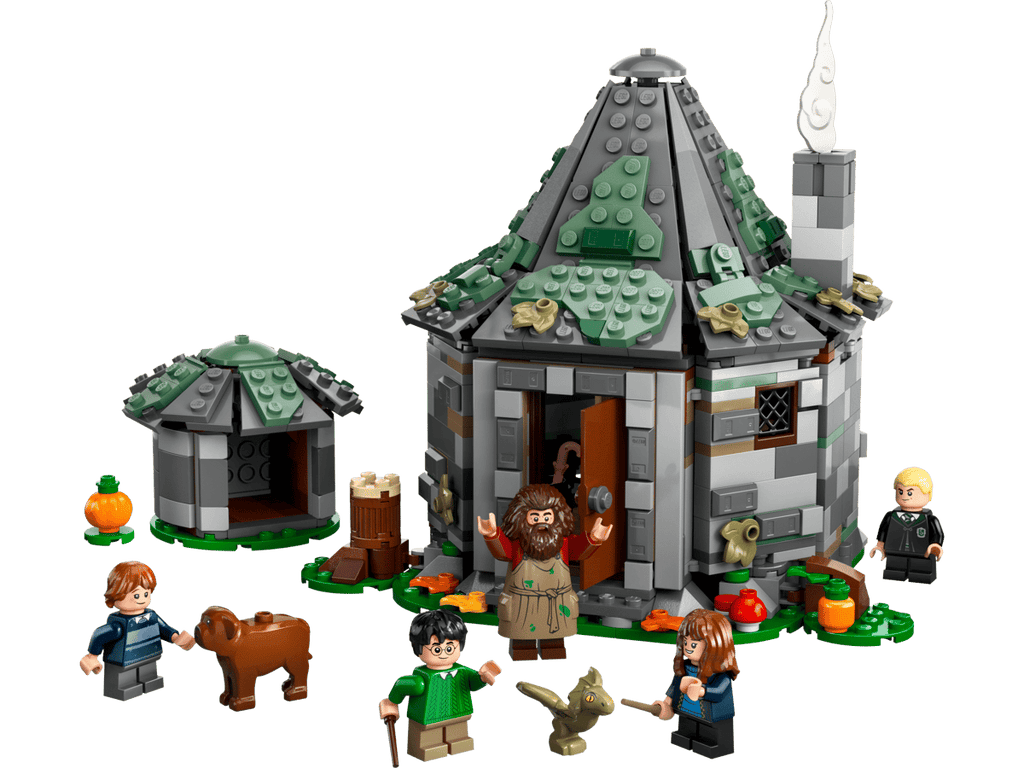 LEGO Harry Potter Hagrids huisje: onverwacht bezoek - 76428