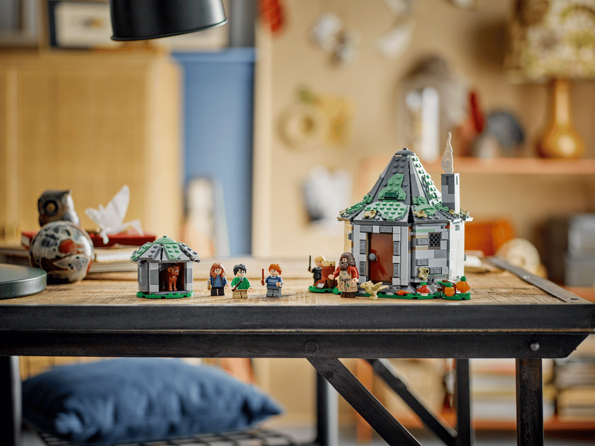 LEGO Harry Potter Hagrids huisje: onverwacht bezoek - 76428