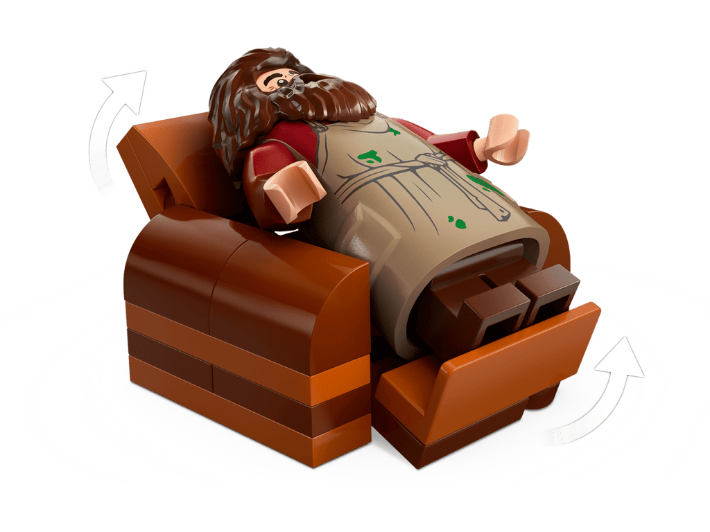 LEGO Harry Potter Hagrids huisje: onverwacht bezoek - 76428