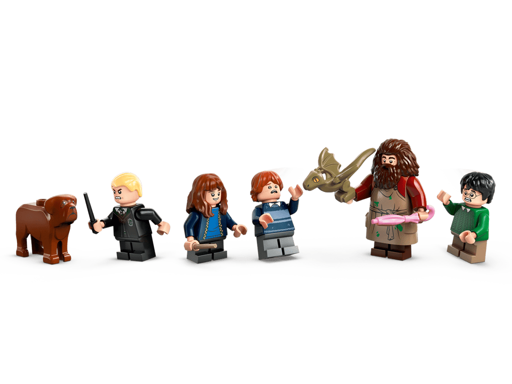 LEGO Harry Potter Hagrids huisje: onverwacht bezoek - 76428
