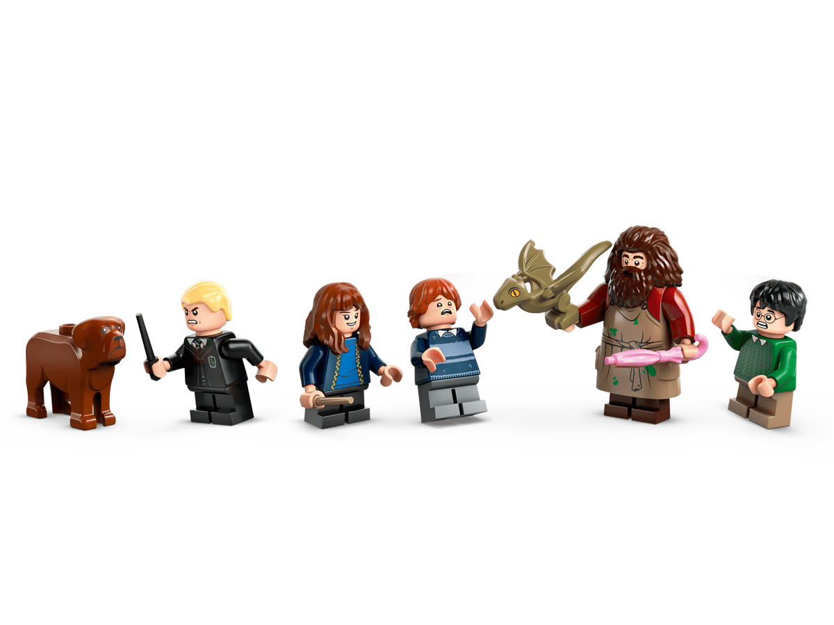 LEGO Harry Potter Hagrids huisje: onverwacht bezoek - 76428