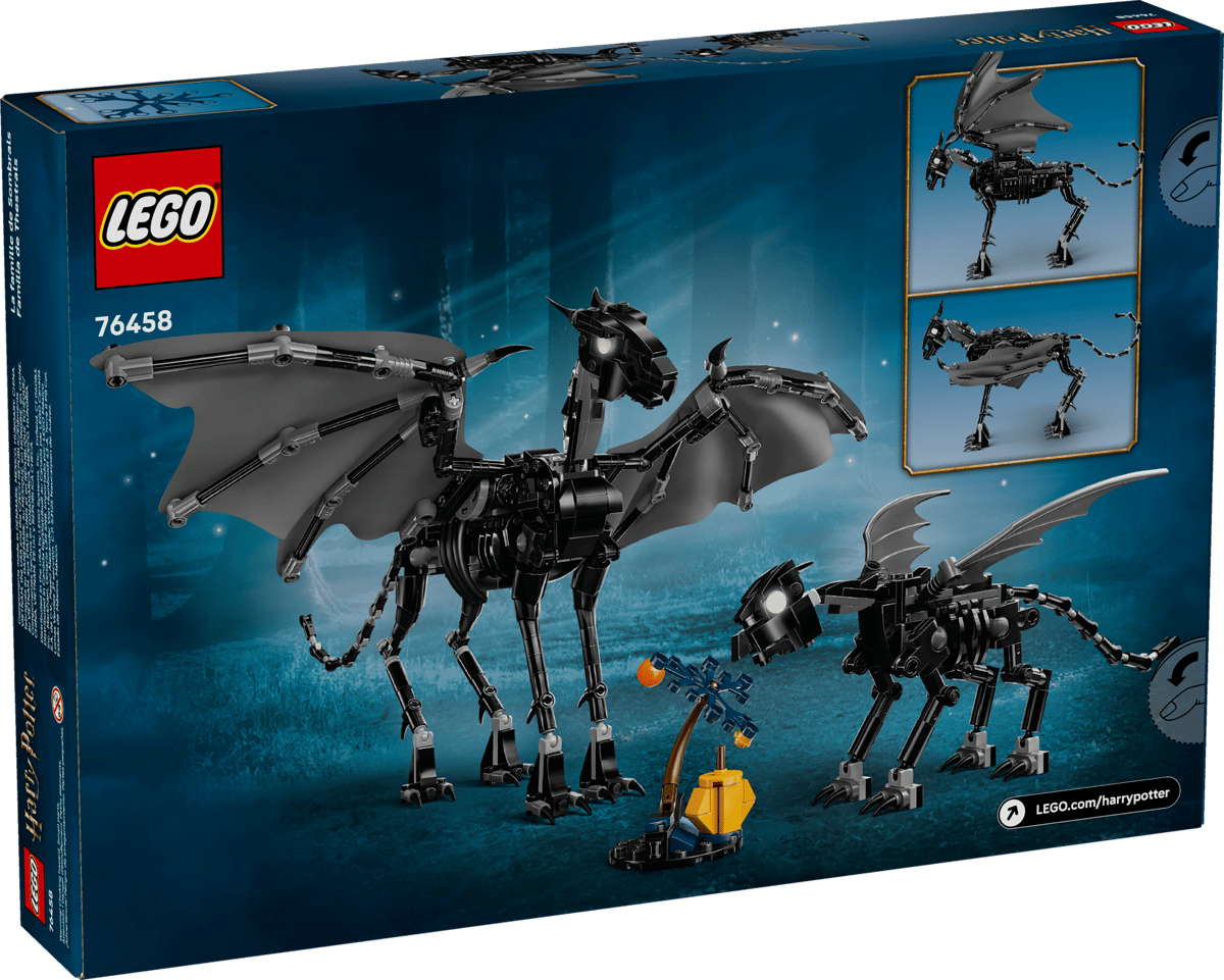 LEGO Harry Potter Familie van Terzielers - 76458