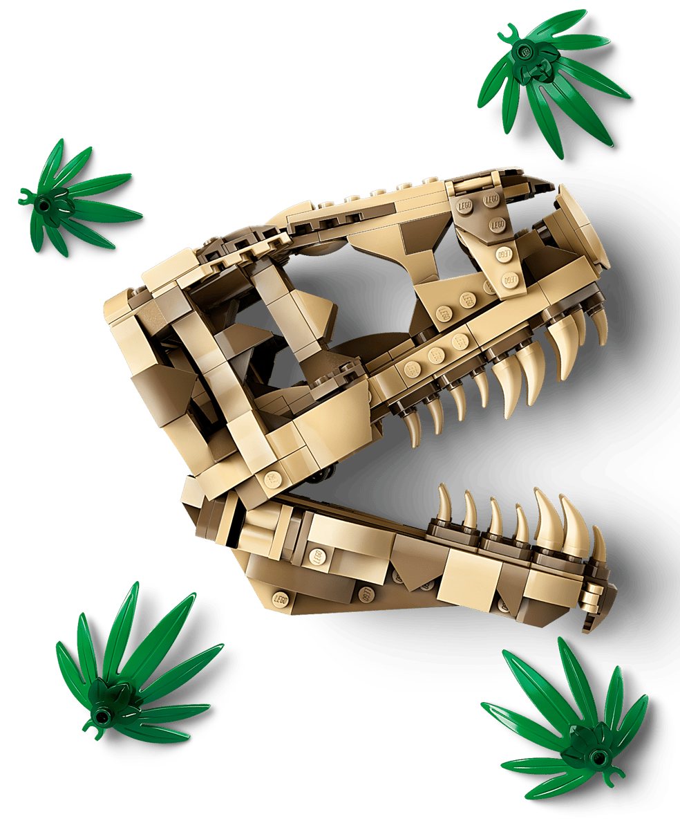 LEGO Jurassic World Dinosaurusfossielen: T. rex schedel - 76964