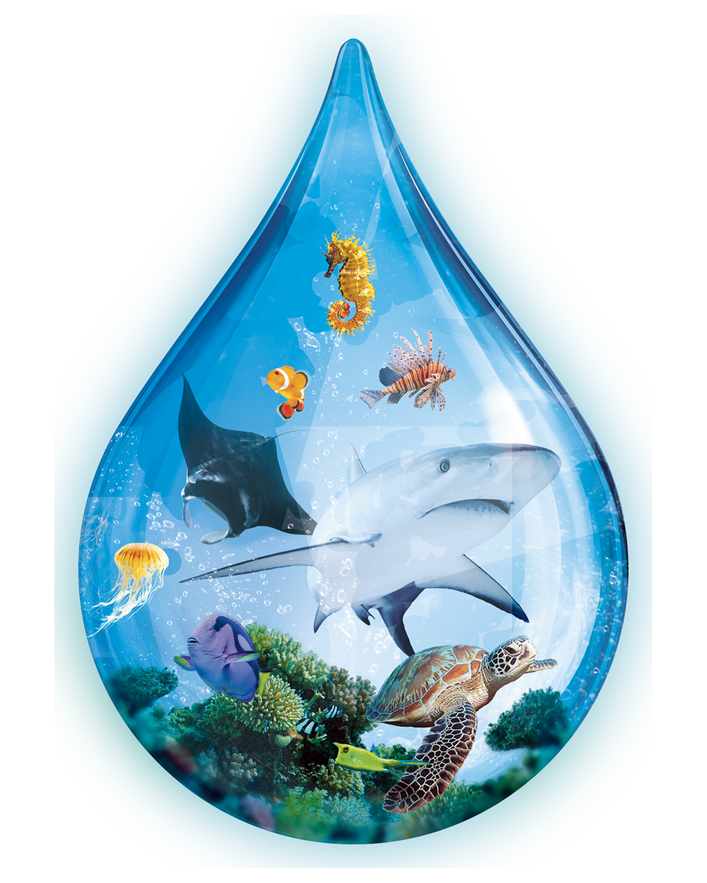 Ark Nova Uitbreiding: Waterwereld - Bordspel (NL)