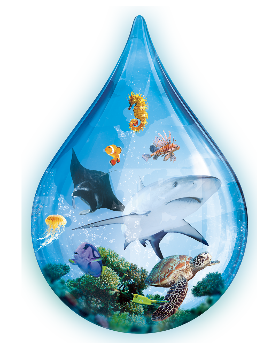 Ark Nova Uitbreiding: Waterwereld - Bordspel (NL)