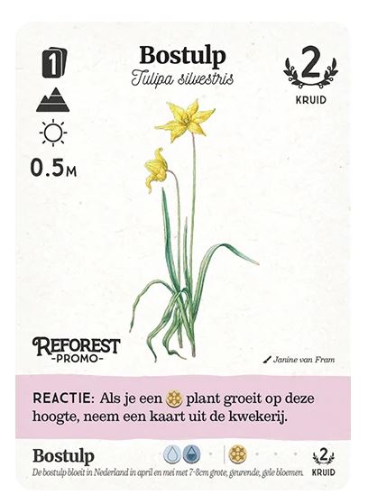 Reforest: Oerbos (incl. promo) - Kaartspel (NL)