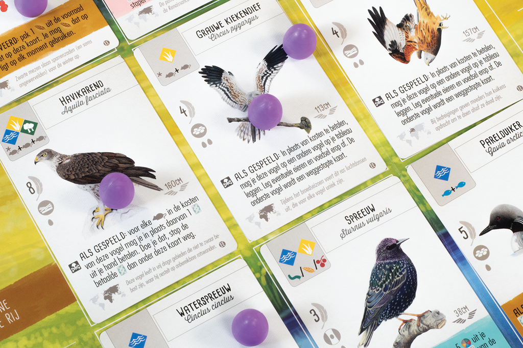 Wingspan uitbreiding: Europa - Bordspel (NL)