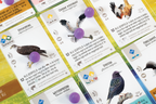 Wingspan uitbreiding: Europa - Bordspel (NL)