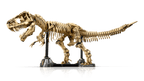 LEGO Jurassic World Dinosaurusfossielen: Tyrannosaurus rex - 76968